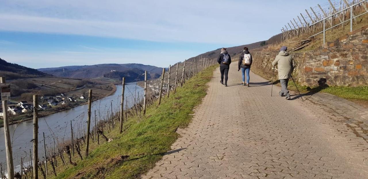 Ferienwohnungen Katharina Traben-Trarbach Exteriör bild